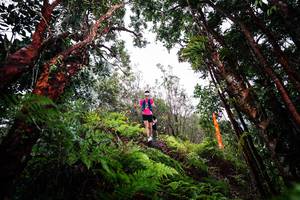 BIB: 
                            <button type="button" onclick="openModal(26202228)" class="btn btn-primary btn-sm float-right btn-popup" data-toggle="modal" data-target=".modal-high-quality">
                        <i class="fas fa-shopping-cart"></i> Add to Cart
                    </button>
                                            <button type="button" onclick="isThisMe(26202228, true)" class="btn btn-success btn-sm float-right btn-popup btn-isme hidden" data-toggle="tooltip" data-placement="bottom" title="นี่คือรูปของคุณใช่ไหม คลิกที่นี่เพื่อเอาเข้าอัลบั้ม">
                        <i class="fas fa-plus"></i> Add to album
                    </button>
                    <button type="button" onclick="isThisMe(26202228, false)" class="btn btn-warning btn-sm float-right btn-popup btn-isnotme hidden">
                        <i class="fas fa-ban"></i> Remove from album
                    </button>